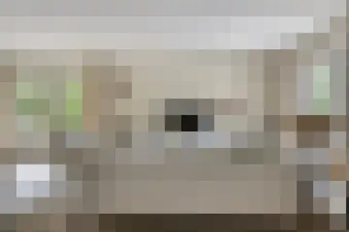 Witbol 2 Lochem thumbnail 8
