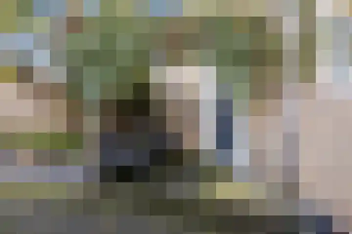Witbol 23 Kampen thumbnail 5