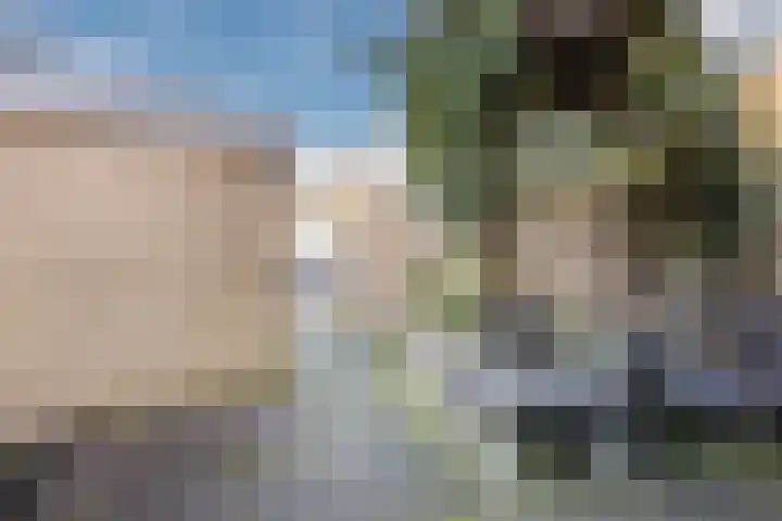 Witbol 23 Kampen thumbnail 6