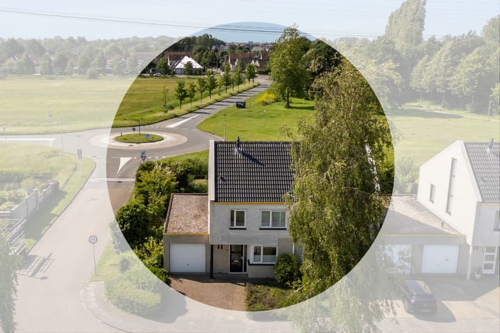 Wite Finne 1 in Goutum foto