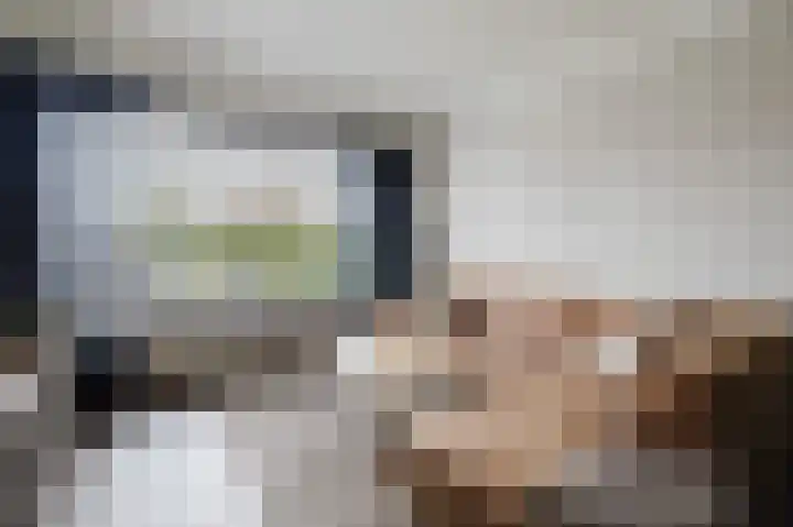 Witherenstraat 16 Veldhoven thumbnail 14