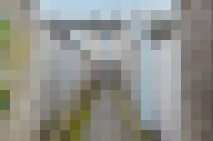 Witherenstraat 16 Veldhoven thumbnail 38