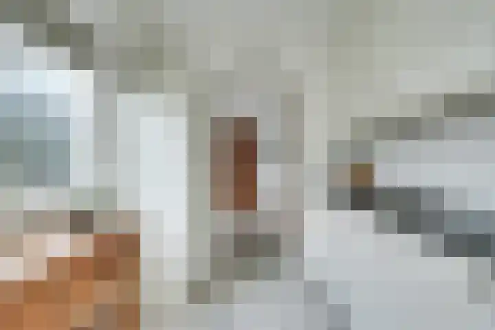 Witherenstraat 8 Veldhoven thumbnail 10