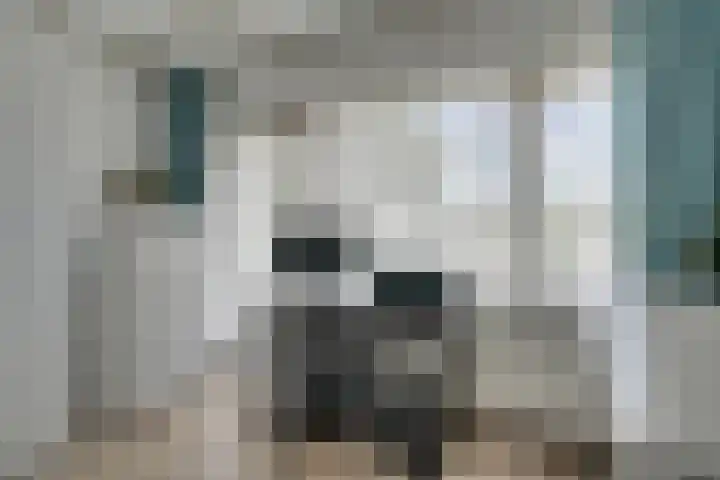 Witherenstraat 8 Veldhoven thumbnail 22