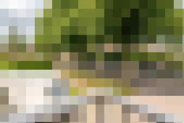 Witherenstraat 8 Veldhoven thumbnail 24