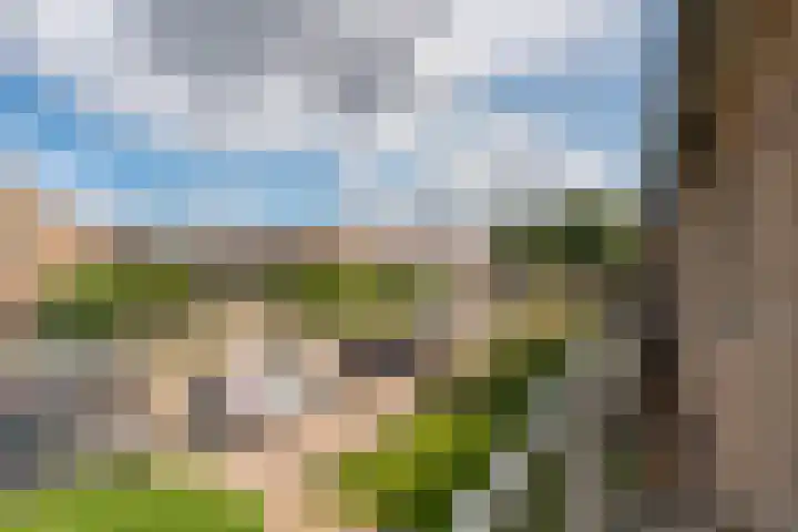 Witherenstraat 8 Veldhoven thumbnail 26