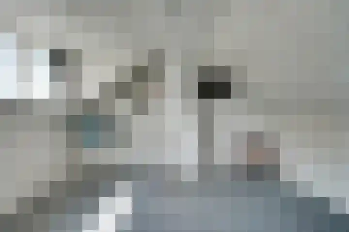 Witherenstraat 8 Veldhoven thumbnail 31