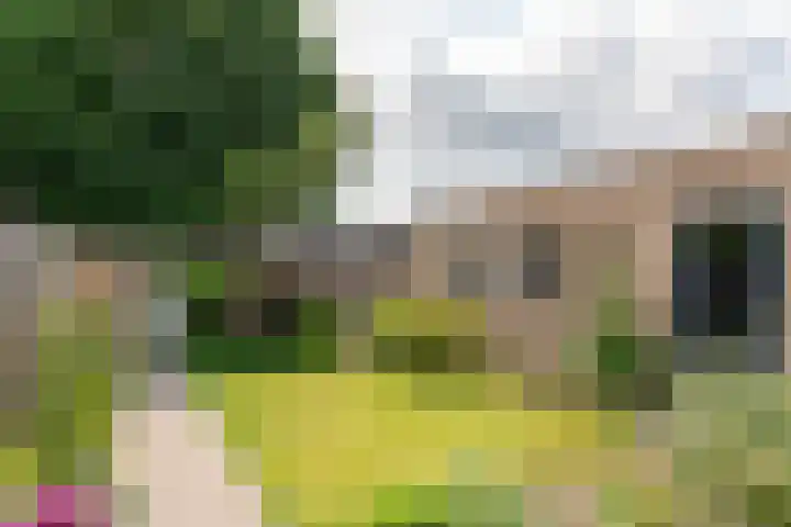 Witherenstraat 8 Veldhoven thumbnail 33