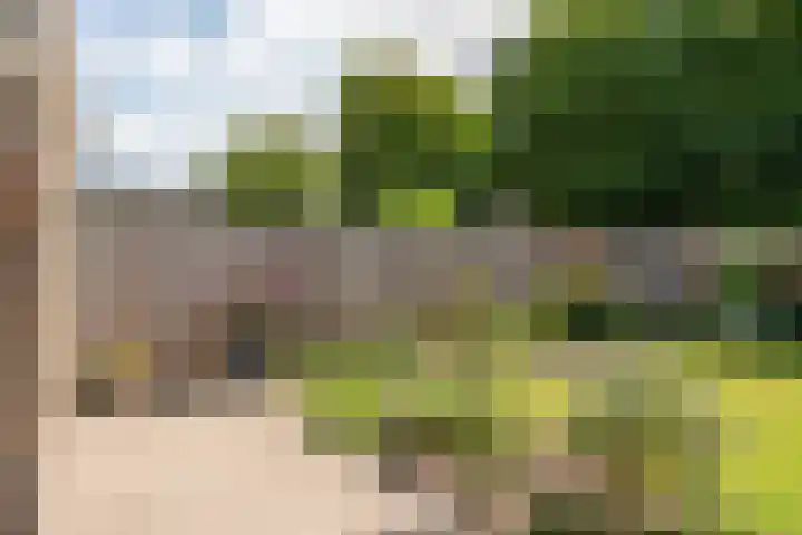 Witherenstraat 8 Veldhoven thumbnail 34