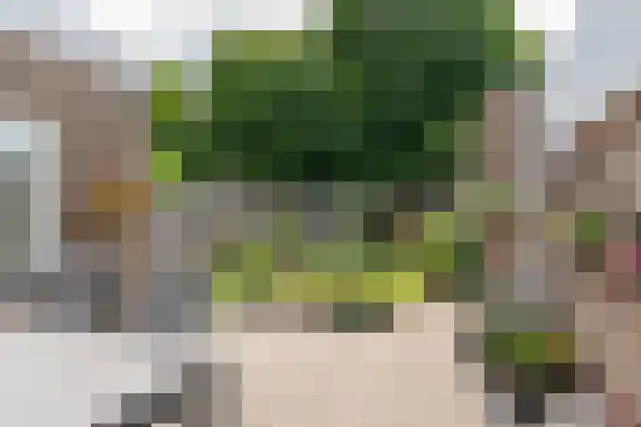 Witherenstraat 8 Veldhoven thumbnail 35