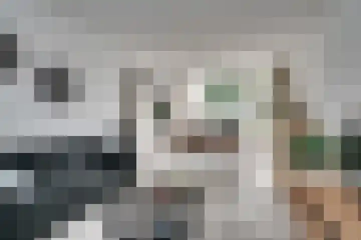 Witherenstraat 8 Veldhoven thumbnail 5