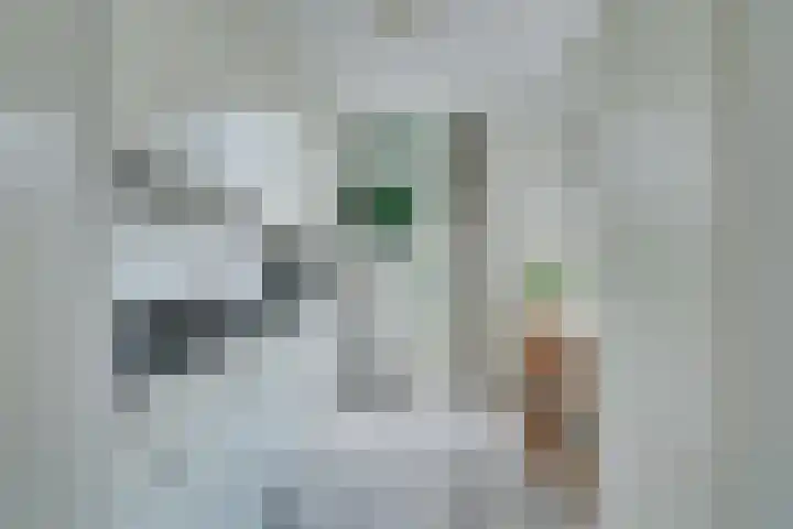 Witherenstraat 8 Veldhoven thumbnail 9