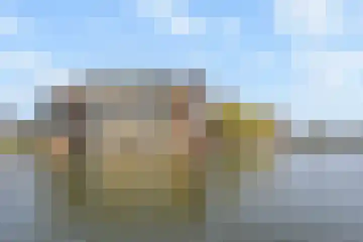 Witmolen 113 Delfgauw