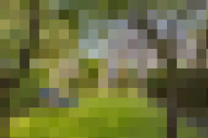 Witmolen 27 Delfgauw thumbnail 12