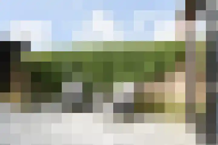 Witmolen 27 Delfgauw thumbnail 18
