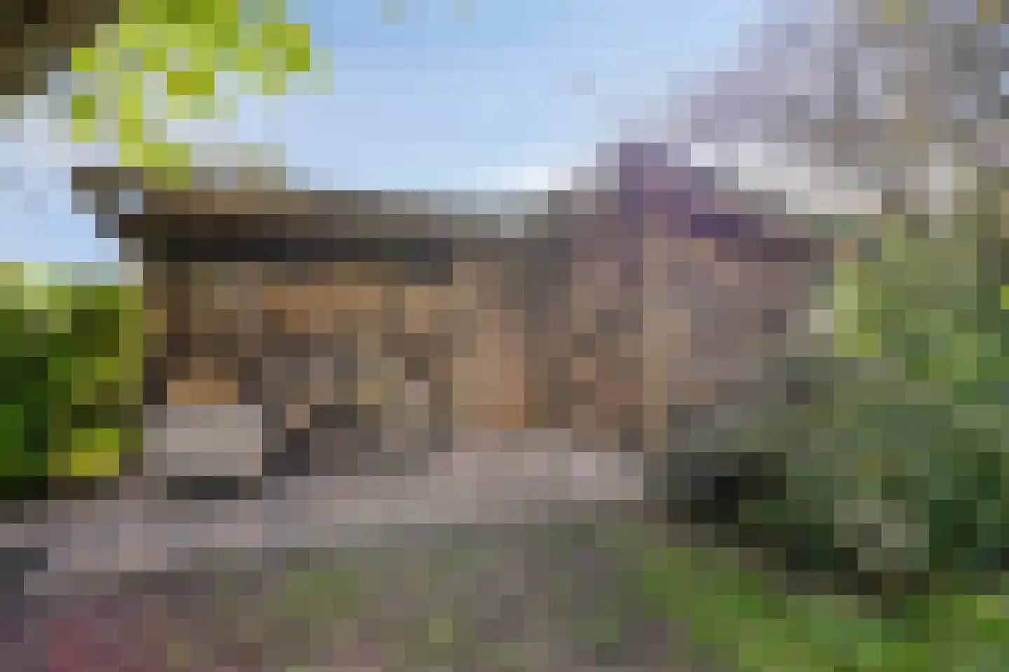 Witmolen 27 Delfgauw thumbnail 31