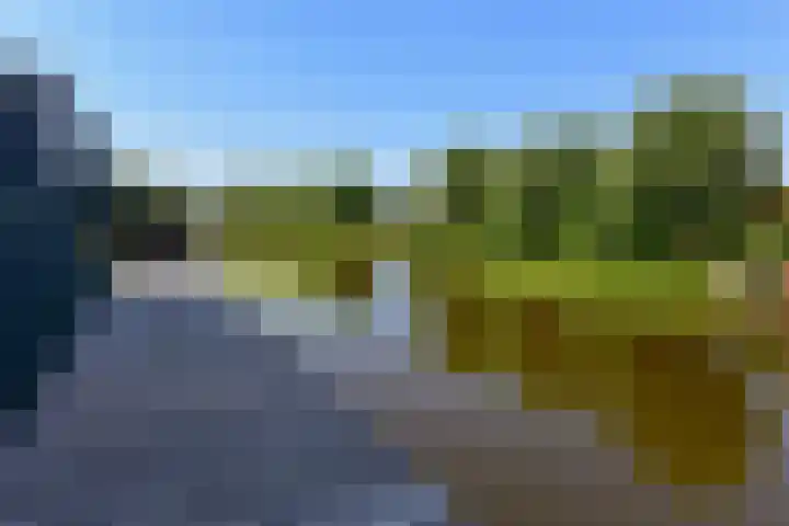Witmolen 27 Delfgauw thumbnail 32