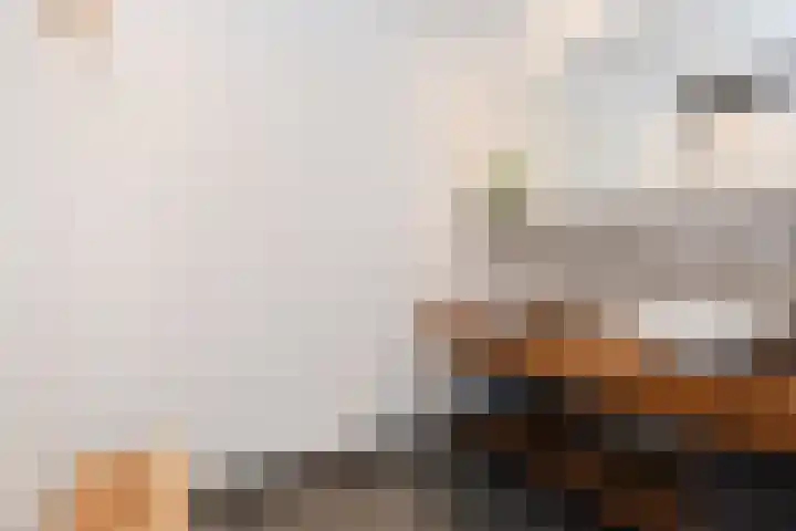 Witmolen 27 Delfgauw thumbnail 38