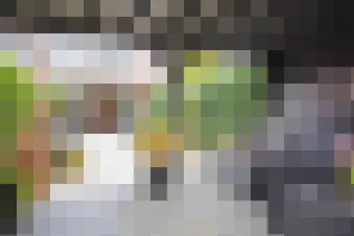 Witmolen 27 Delfgauw thumbnail 5