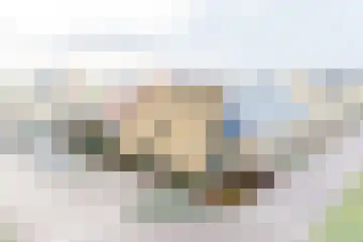 Witrikstraat 8 Middenbeemster thumbnail 4