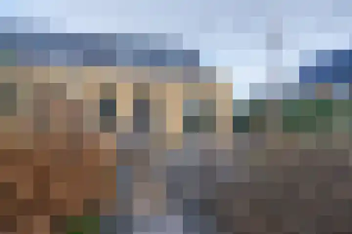 Witrikstraat 8 Middenbeemster thumbnail 41