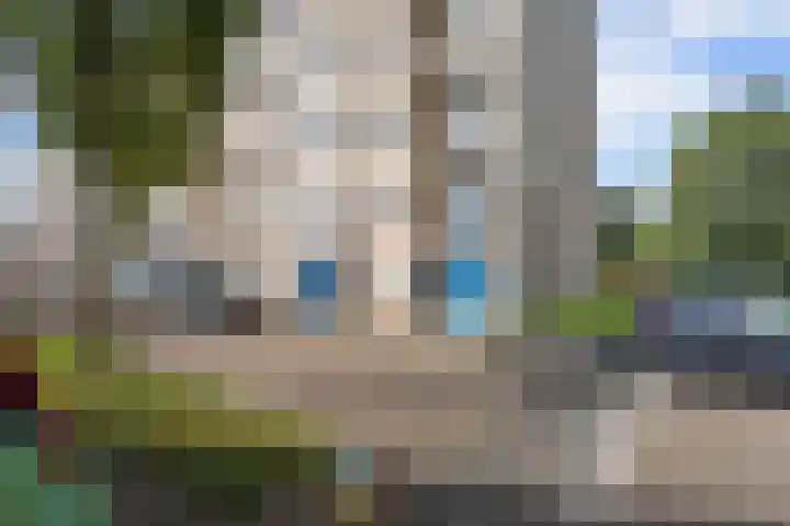 Witrugspecht 18 Emmen thumbnail 22