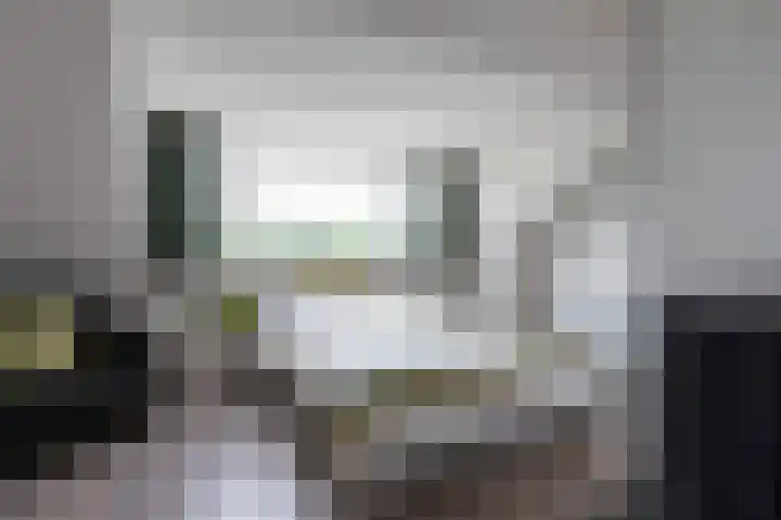 Witrugspecht 18 Emmen thumbnail 27