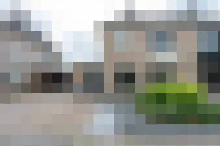 Witrugspecht 18 Emmen thumbnail 41