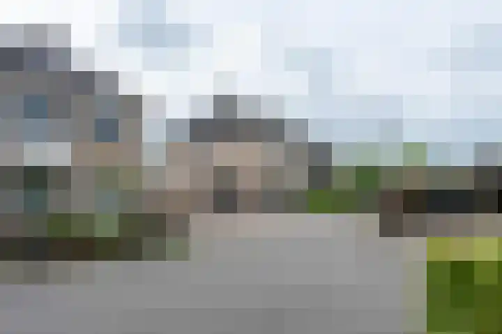 Witrugspecht 18 Emmen thumbnail 43