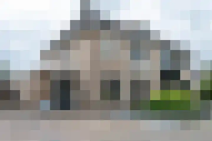 Witrugspecht 18 Emmen thumbnail 49