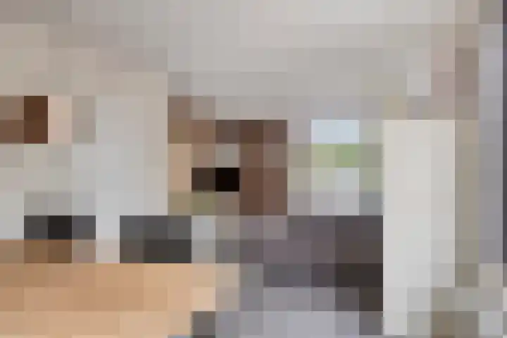 Witte Dam 26 Kwadendamme thumbnail 14