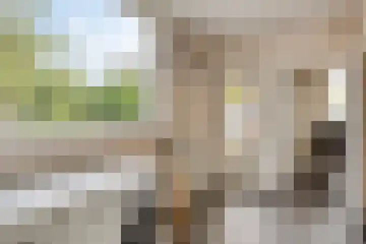 Witte Dam 26 Kwadendamme thumbnail 19