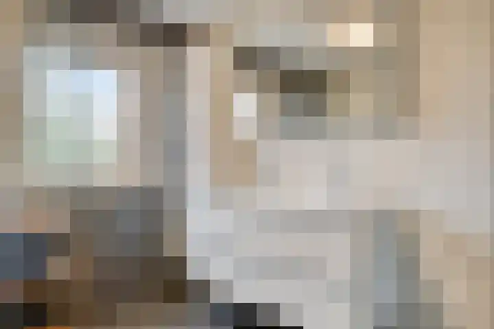 Witte Dam 26 Kwadendamme thumbnail 24