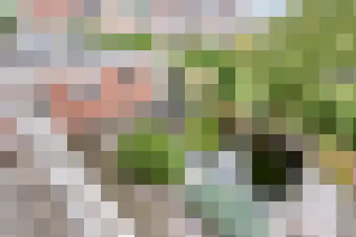 Witte Dam 26 Kwadendamme thumbnail 27