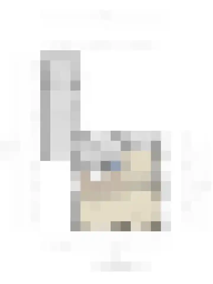 Witte Dam 26 Kwadendamme thumbnail 37