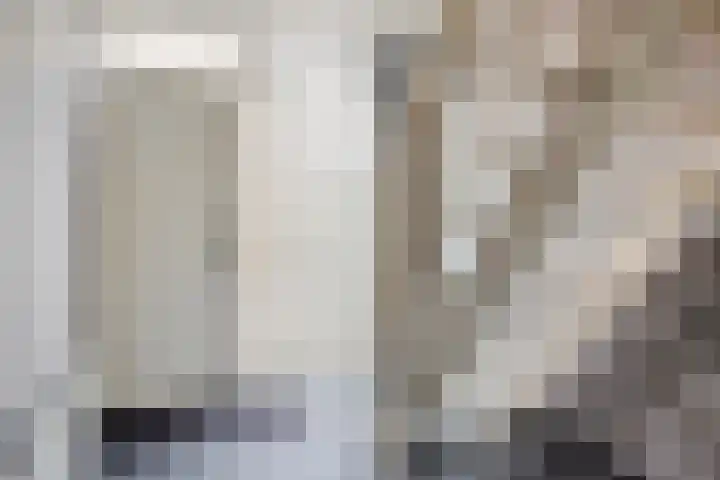 Witte Dam 26 Kwadendamme thumbnail 9