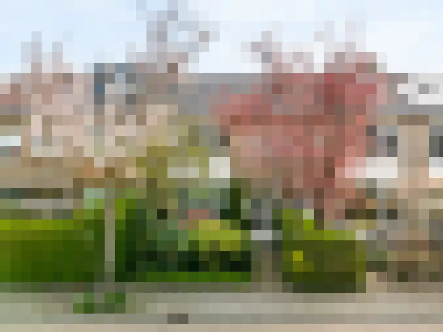 Witte de Withlaan 22 in Oegstgeest