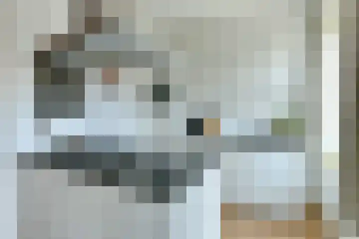 Witte de Withstraat 152 2 Amsterdam thumbnail 10