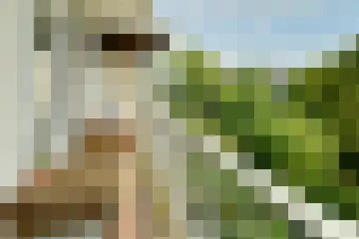 Witte de Withstraat 152 2 Amsterdam thumbnail 14