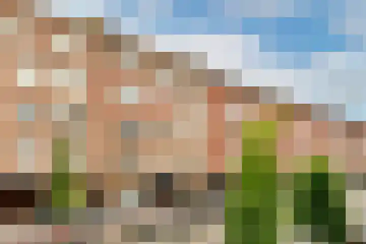 Witte de Withstraat 152 2 Amsterdam thumbnail 18
