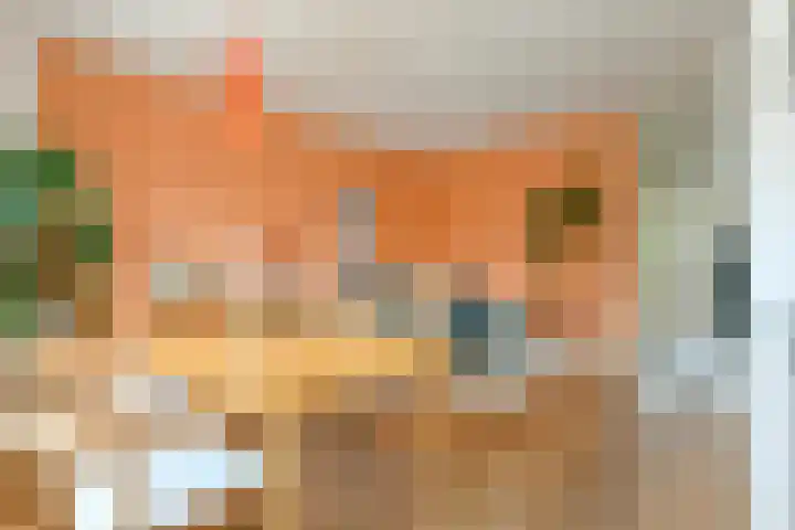 Witte de Withstraat 152 2 Amsterdam thumbnail 6