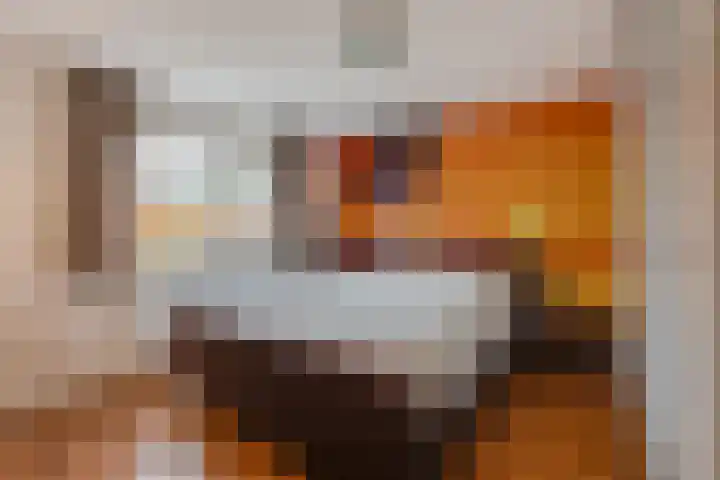 Witte de Withstraat 27 Huizen thumbnail 21
