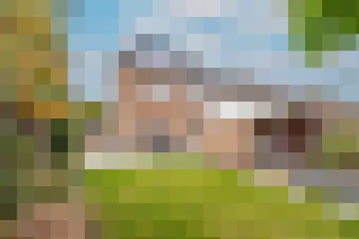 Witte de Withstraat 27 Huizen thumbnail 32