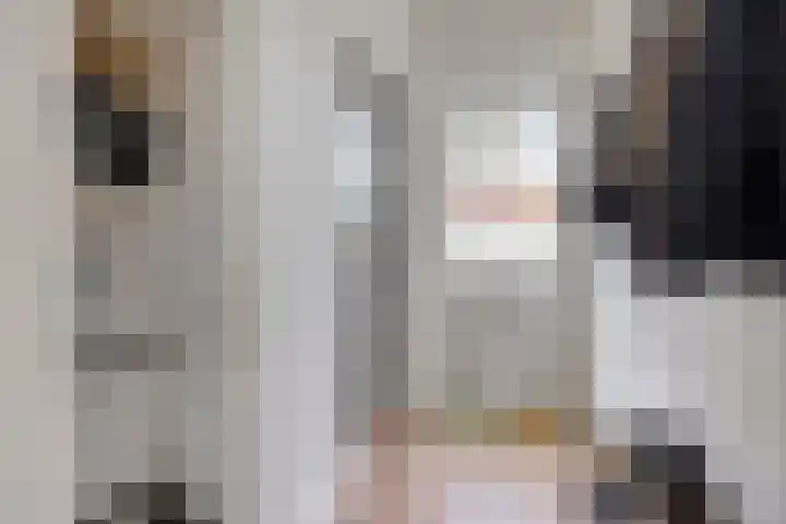 Witte de Withstraat 32 Brielle thumbnail 16