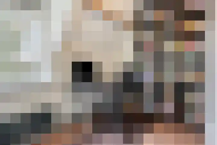 Witte de Withstraat 32 Brielle thumbnail 25