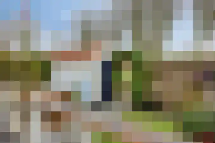 Witte de Withstraat 32 Brielle thumbnail 37