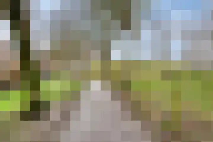 Witte de Withstraat 32 Brielle thumbnail 39