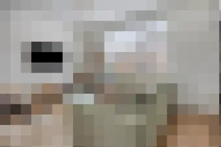 Witte de Withstraat 32 Brielle thumbnail 4