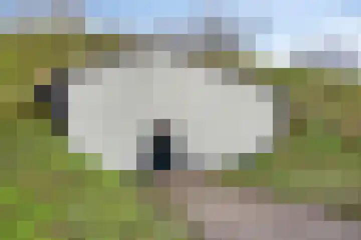 Witte de Withstraat 32 Brielle thumbnail 40
