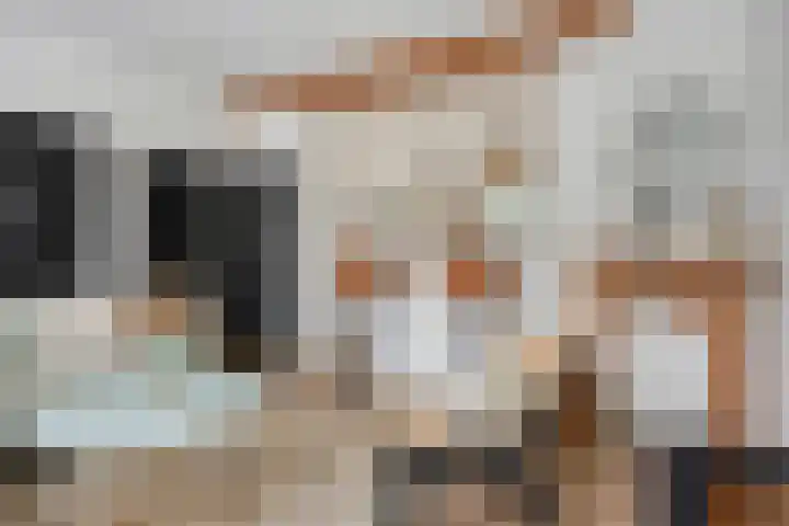 Witte de Withstraat 32 Brielle thumbnail 6
